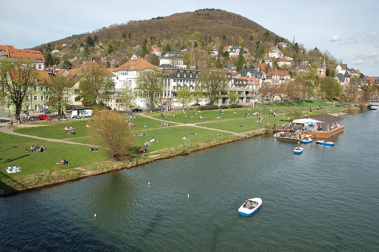 Neckarwiese in Neuenheim mit Tretbooten auf dem Neckar