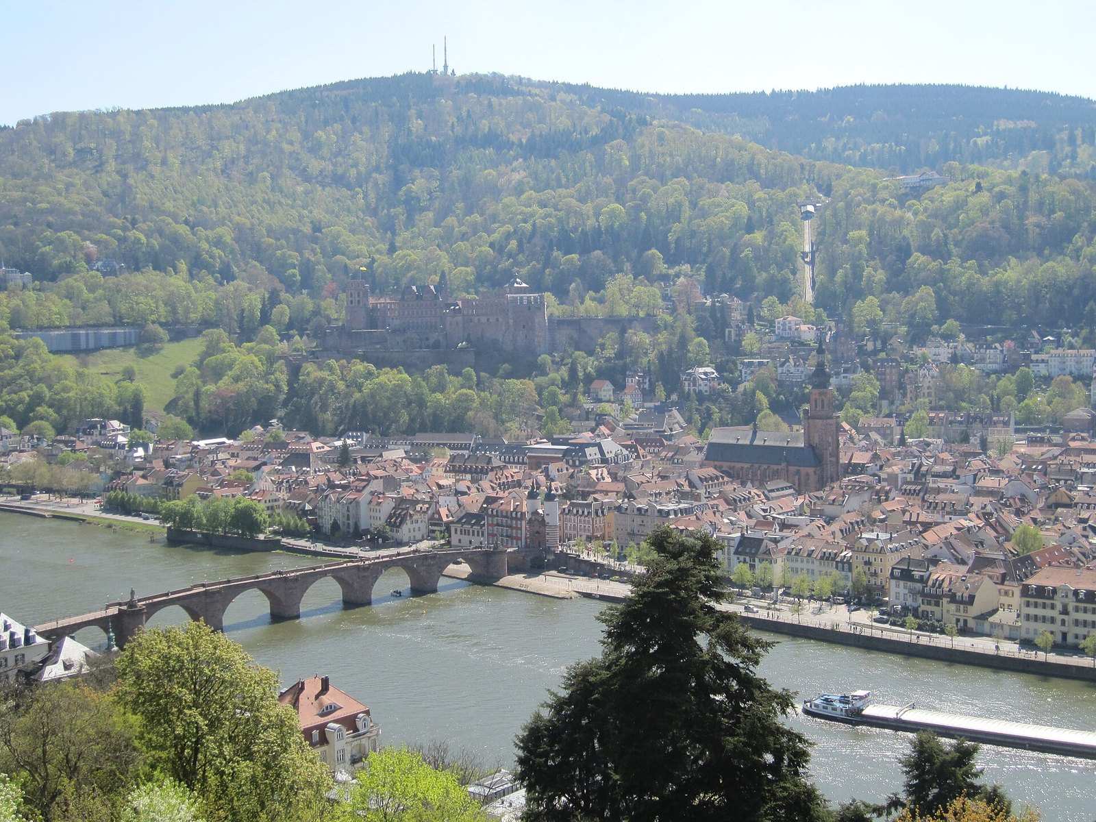 Blick vom Philosophenweg auf Alte Brücke und Altstadt