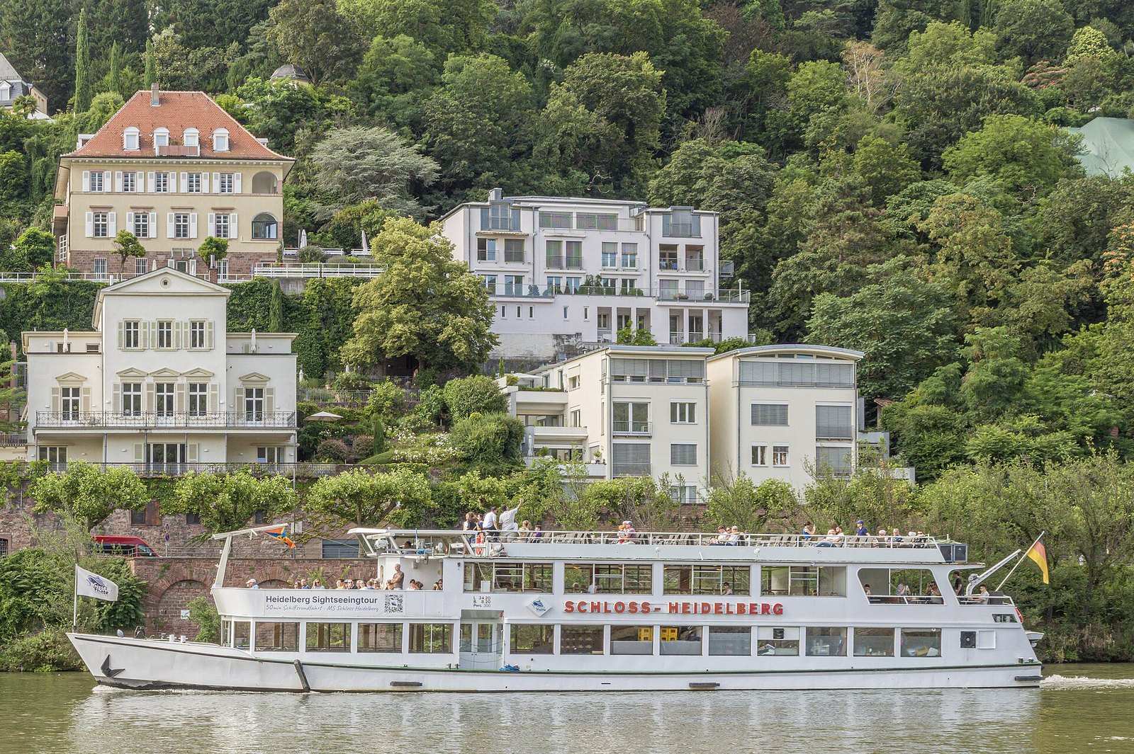 Fahrgastschiff Schloss Heidelberg am Neuenheimer Ufer